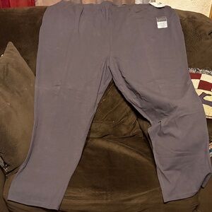Catherines Deep Purple Pants